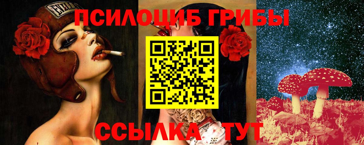 Тавда  Псилоцибиновые грибы Magic Shrooms  Галлюциногенные грибы Psilocybe  продажа наркотиков  Вход с VPN 