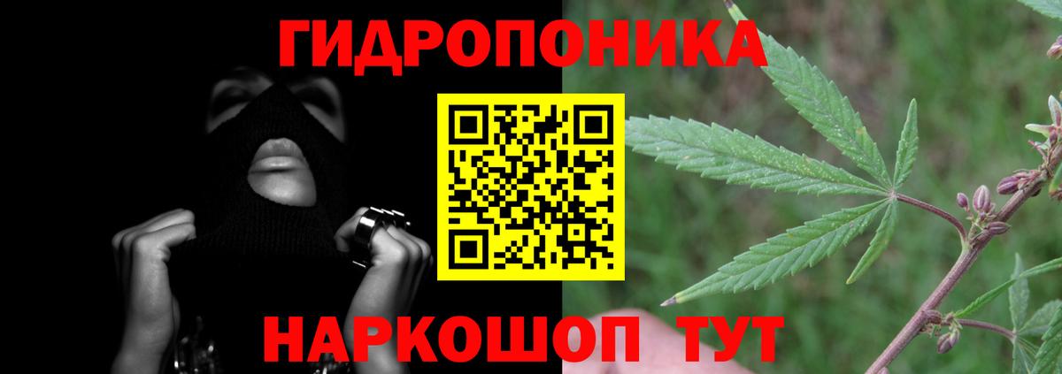 Бошки марихуана конопля Тавда